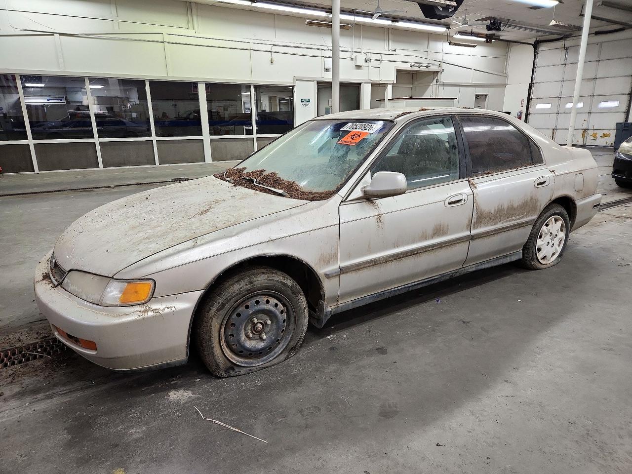 1996 HONDA ACCORD | 1HGCD5532TA149236 | UPCARS