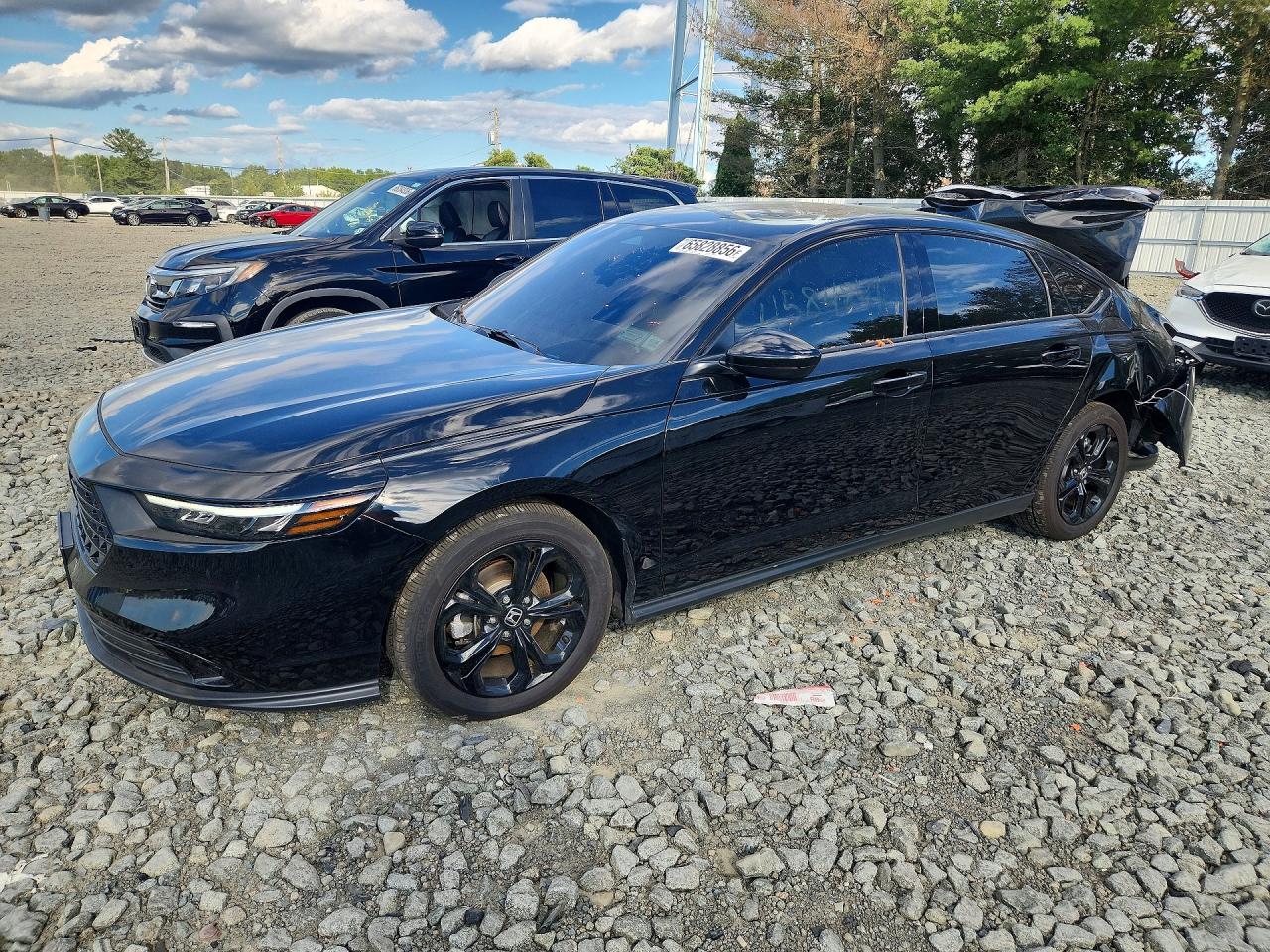 2025 HONDA ACCORD SE | 1HGCY1F43SA077207 | UPCARS