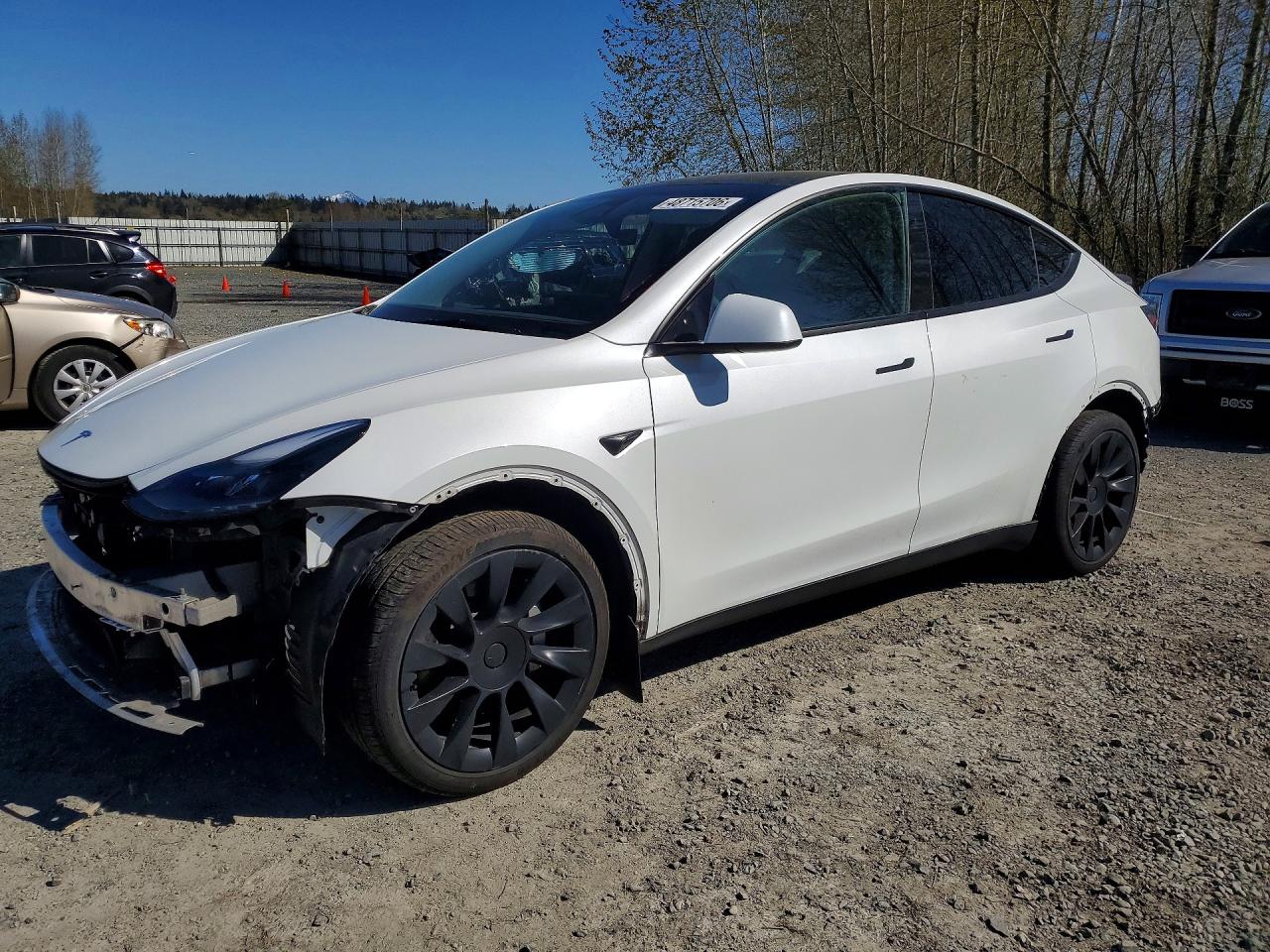 2024 TESLA MODEL Y | 7SAYGDEE4RF126583 | UPCARS