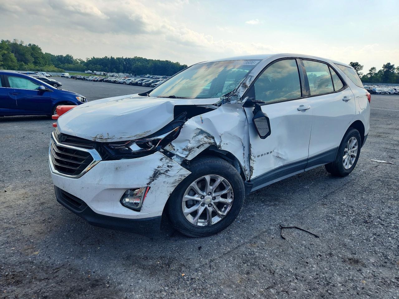 2019 CHEVROLET EQUINOX LS | 3GNAXSEV1KL167657 | UPCARS