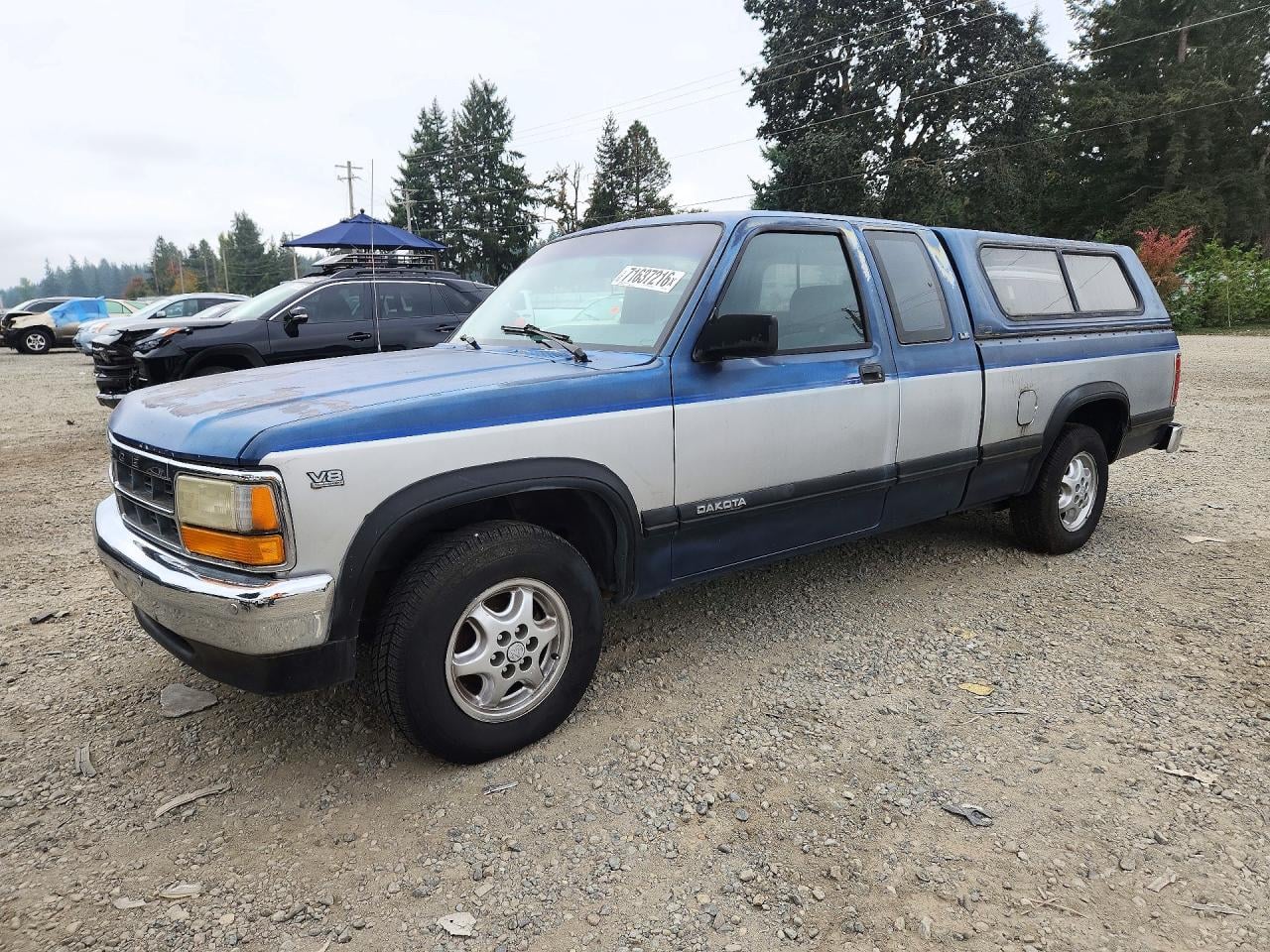 1991 DODGE DAKOTA | 1B7GL23Y0MS261058 | UPCARS