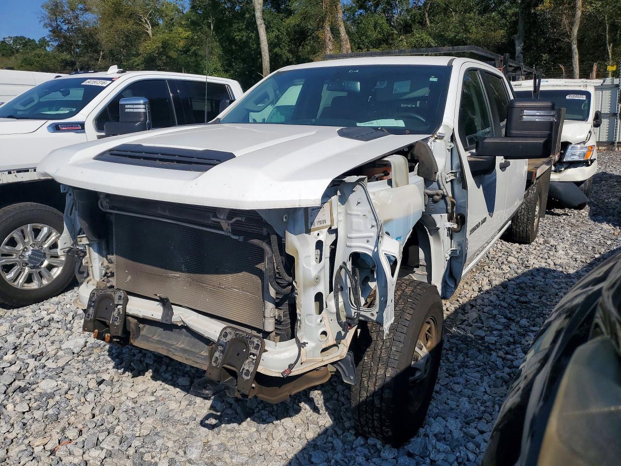 2023 CHEVROLET SILVERADO K2500 HEAVY DUTY | 1GB4YLE75PF198085 | UPCARS