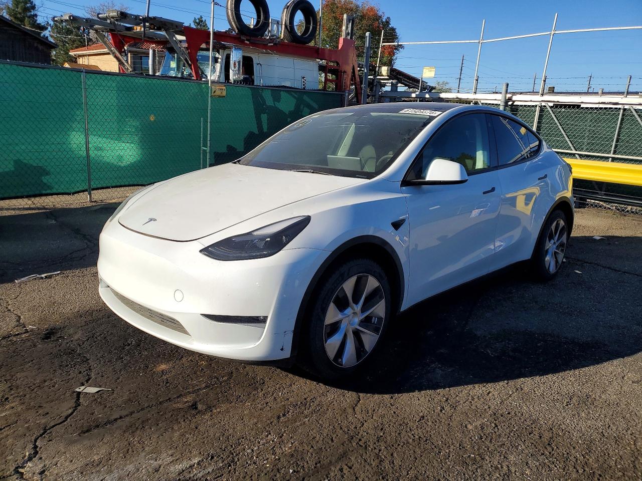 2023 TESLA MODEL Y | 7SAYGAEE8PF714224 | UPCARS