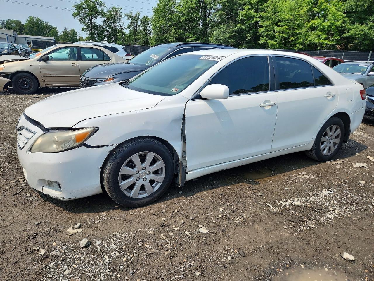 2010 TOYOTA CAMRY BASE | 4T1BF3EK6AU534631 | UPCARS