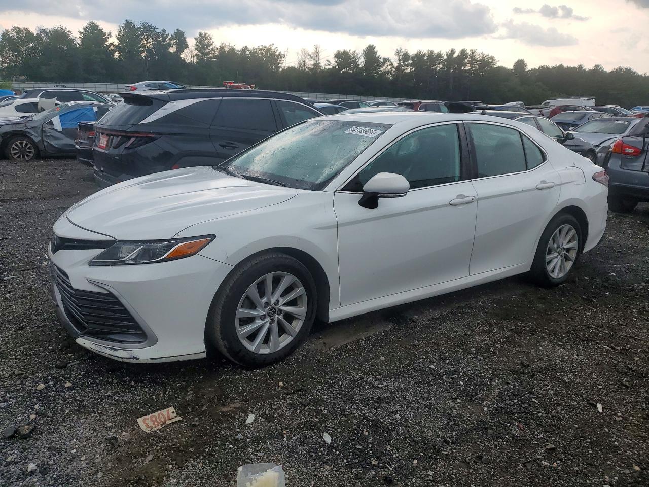 2021 TOYOTA CAMRY LE | 4T1C11AK7MU433048 | UPCARS