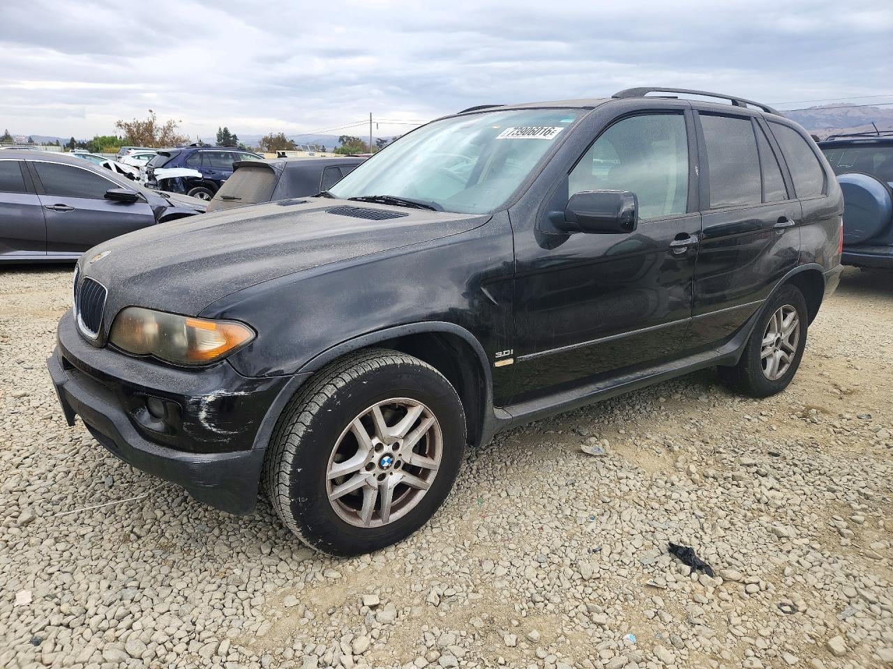 2006 BMW X5 3.0I | 5UXFA13586LY41221 | UPCARS