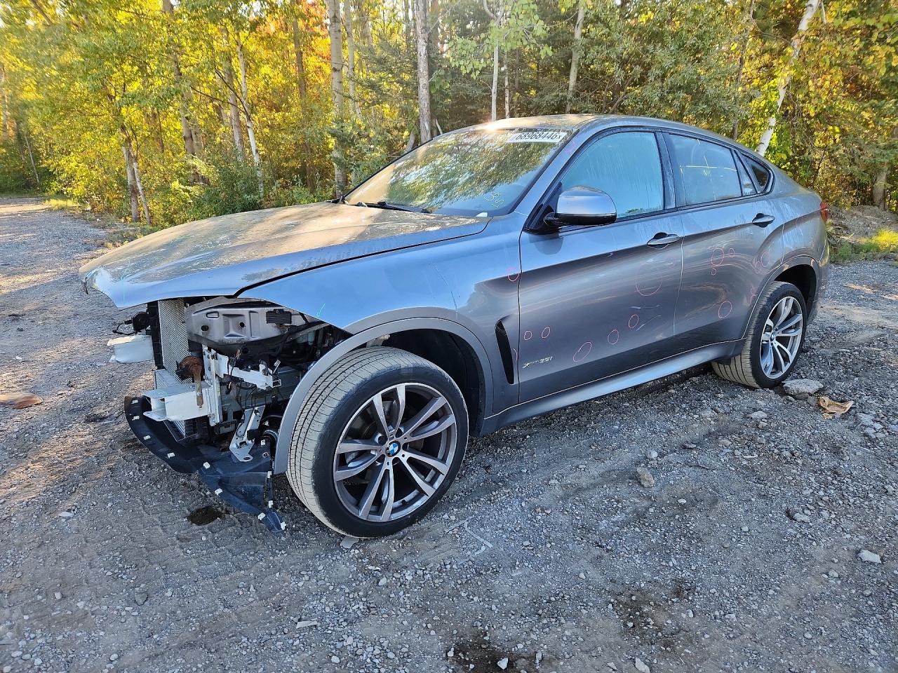 2017 BMW X6 XDRIVE35I | 5UXKU2C33H0U29982 | UPCARS