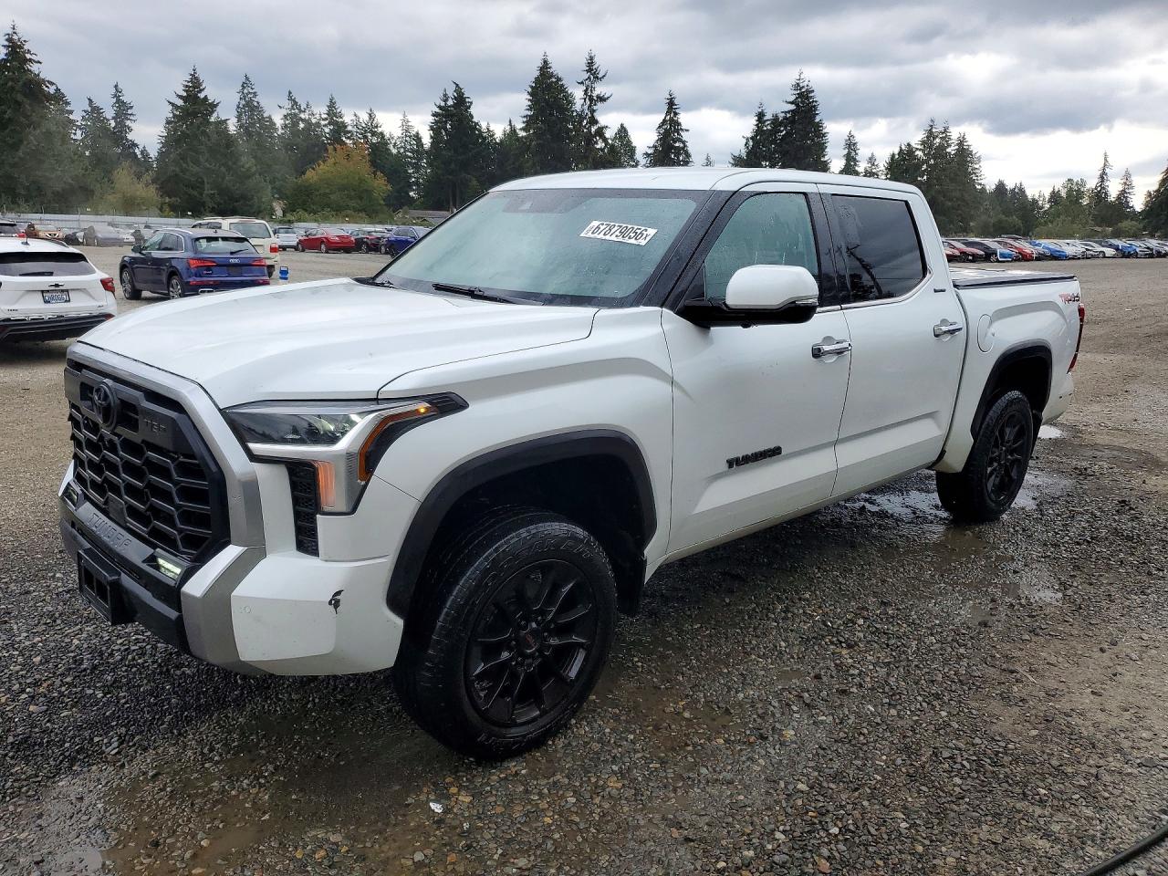 2023 TOYOTA TUNDRA CREWMAX LIMITED | 5TFJA5DB6PX090234 | UPCARS