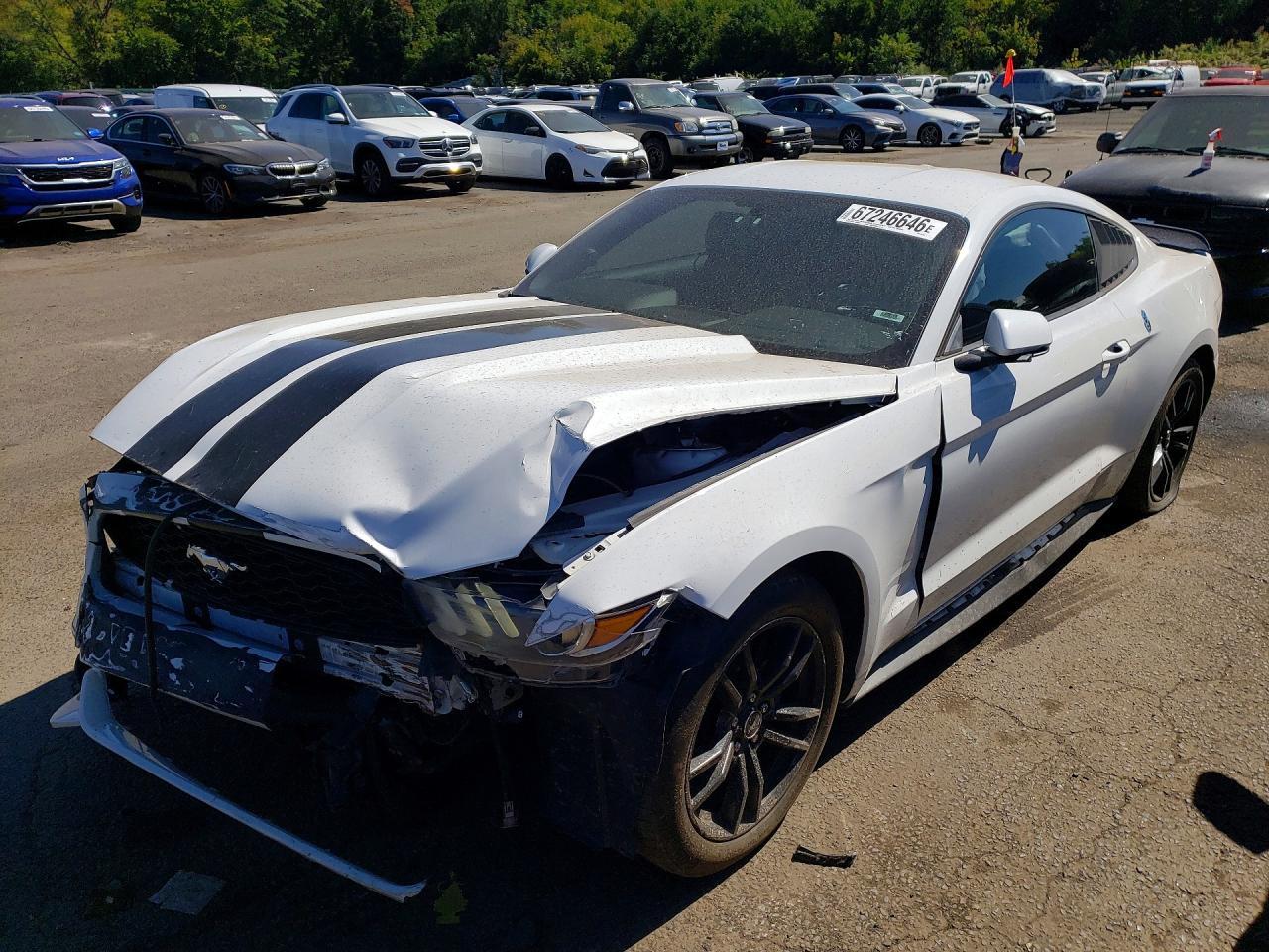 2017 FORD MUSTANG | 1FA6P8TH3H5357263 | UPCARS