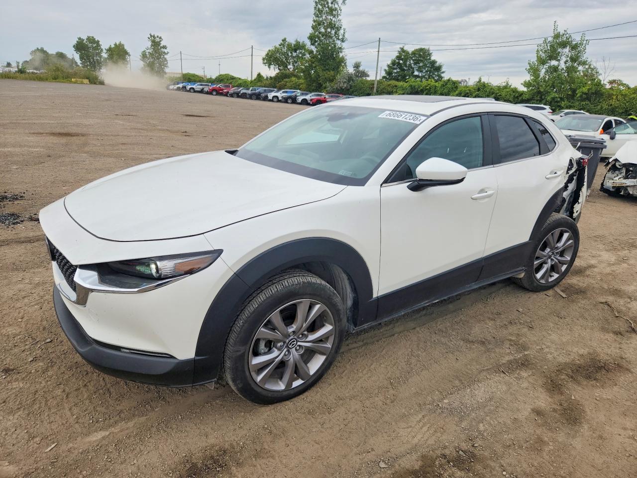 2023 MAZDA CX30 PREFERRED | 3MVDMBCM2PM567994 | UPCARS