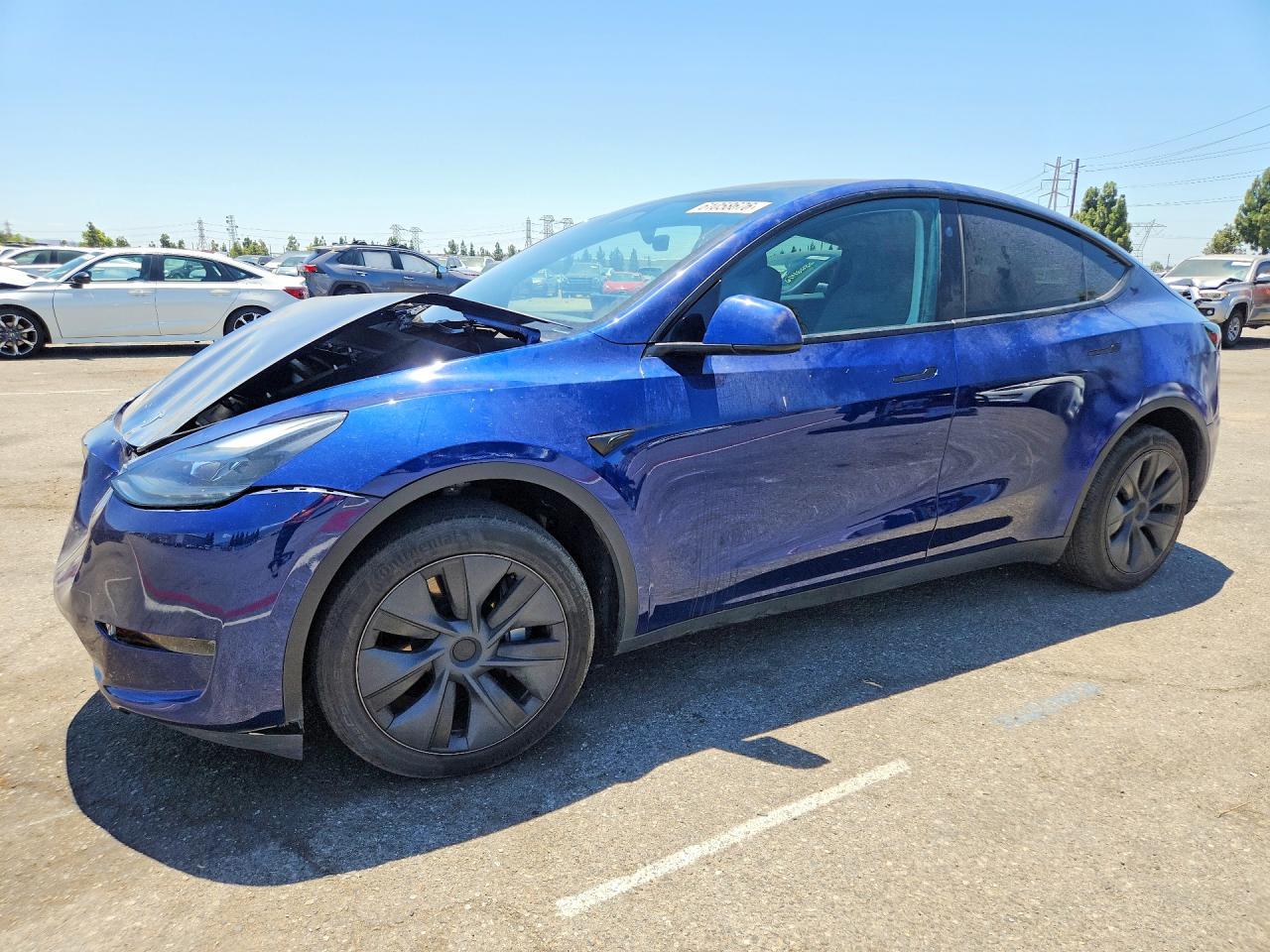 2024 TESLA MODEL Y | 7SAYGDED1RF160696 | UPCARS